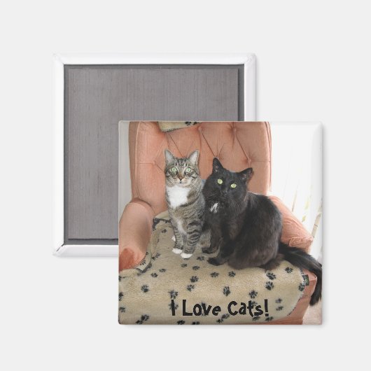 Ik hou van Katten! magneet (Voorkant / Achterkant)