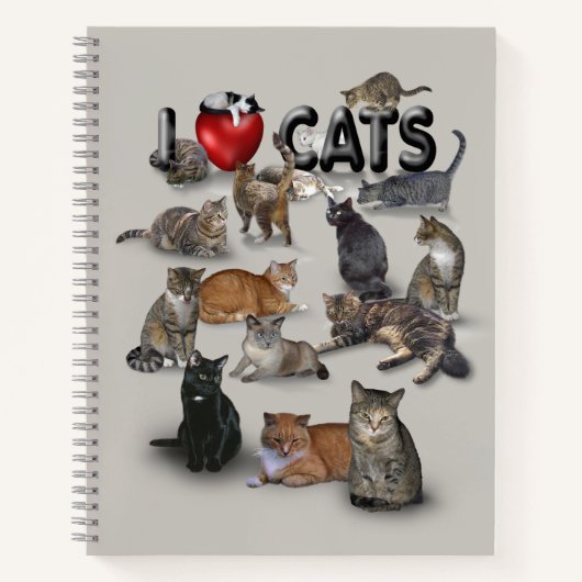 Ik hou van katten 😻 notitieboek (Voorkant)