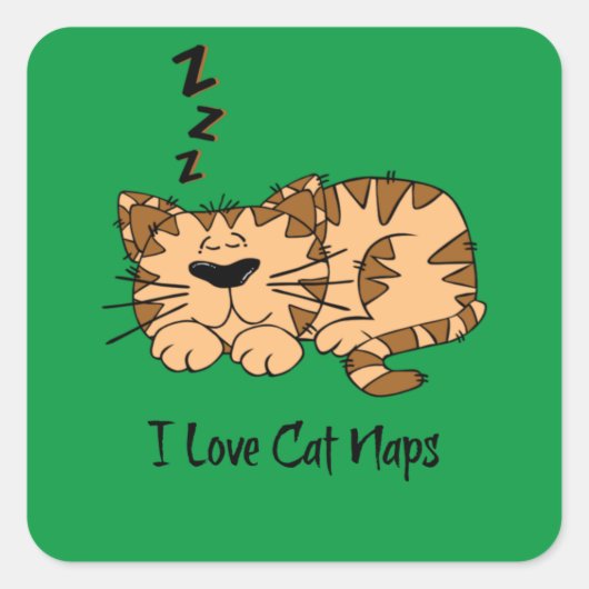 Ik Hou Van Katten Slaapjes, Vierkante Sticker (Voorkant)