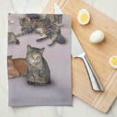 Ik hou van katten theedoek (Quarter Fold)