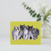 Ik hou van Katten van Junglewalk.com Briefkaart (Staand voorkant)