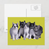 Ik hou van Katten van Junglewalk.com Briefkaart (Voorkant / Achterkant)