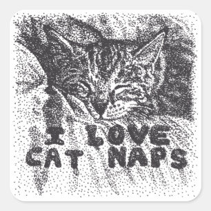 Ik hou van kattenluiers, kat slapen vierkante sticker