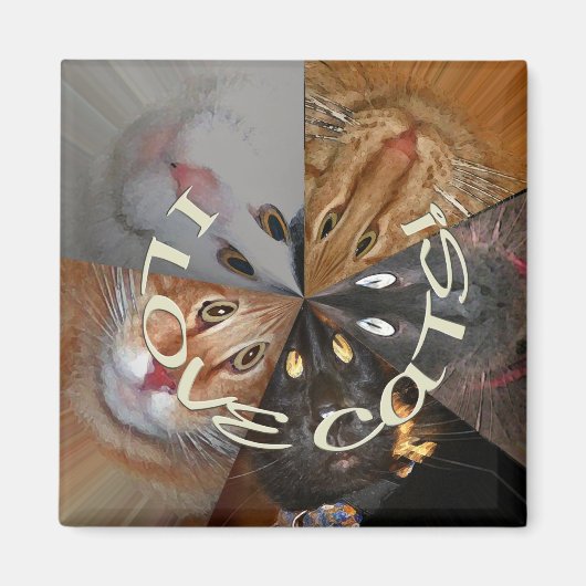 Ik hou van kattenmagneet magneet (Voorkant)