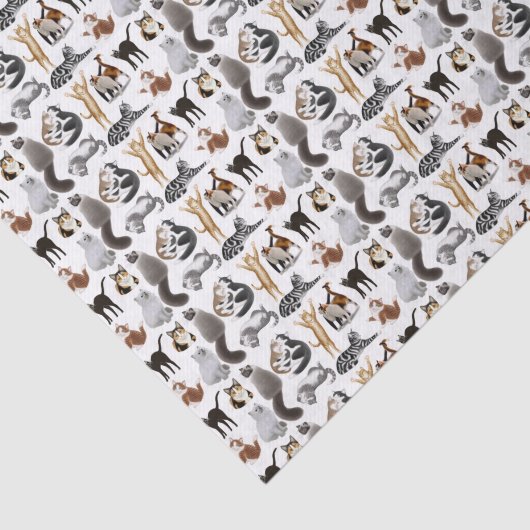 Ik hou van kattenpapier tissuepapier (Detail)