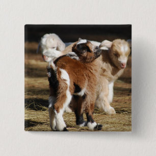 Ik hou van Kinderen Vierkante Button 5,1 Cm