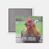 Ik hou van kippen... Zwart Koper Maran Roo Magnet (Voorkant / Achterkant)