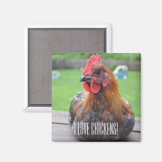 Ik hou van kippen... Zwart Koper Maran Roo Magnet (Voorkant / Achterkant)