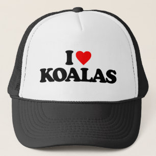IK HOU VAN KOALA'S TRUCKER PET