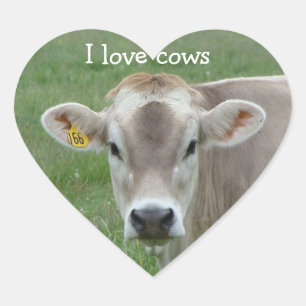 Ik hou van Koeien Jersey Koe Hart Sticker