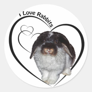 Ik hou van konijnen sticker