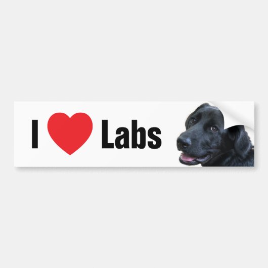 Ik hou van Labs Bumpersticker (Voorkant)