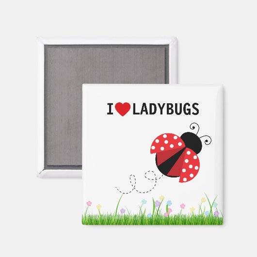 Ik hou van Ladybugs Magnet (Voorkant / Achterkant)