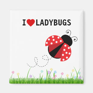 Ik hou van Ladybugs Magnet