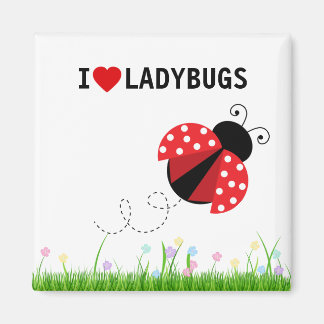 Ik hou van Ladybugs Magnet