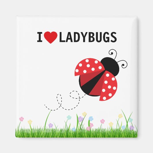 Ik hou van Ladybugs Magnet (Voorkant)