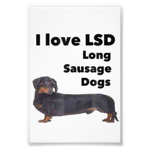 Ik hou van lange worst Hogs Funny Wiener Dachshund Foto Afdruk