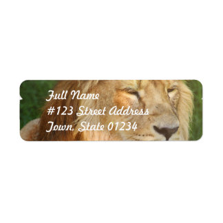 Ik hou van leeuwen mailing labels