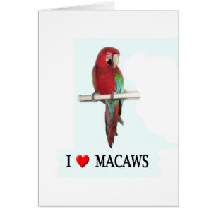 Ik hou van Macaws