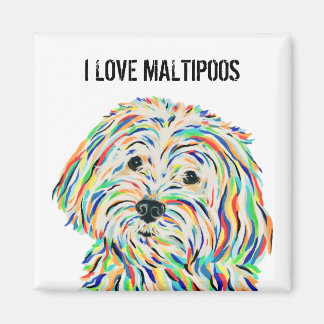 Ik hou van Maltipoos Magnet