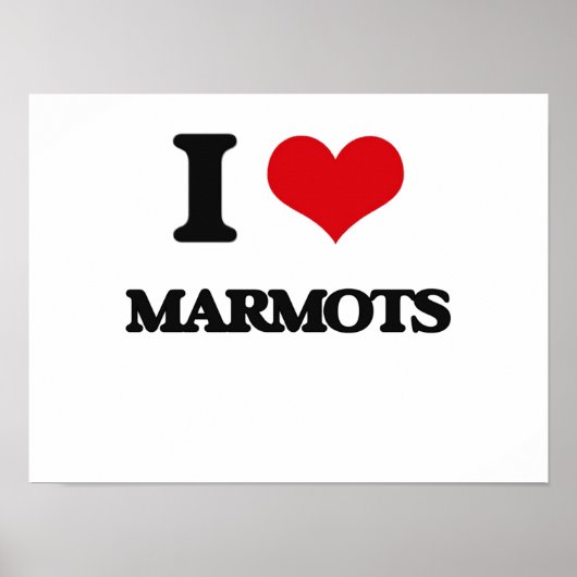 Ik hou van Marmots Poster (Voorkant)