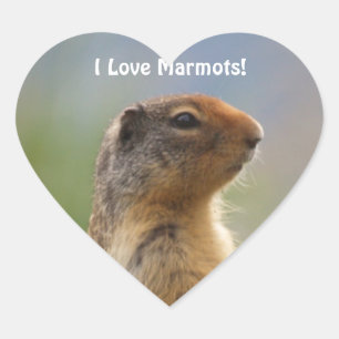 Ik hou van Marmots Wildlife Foto Hart Sticker