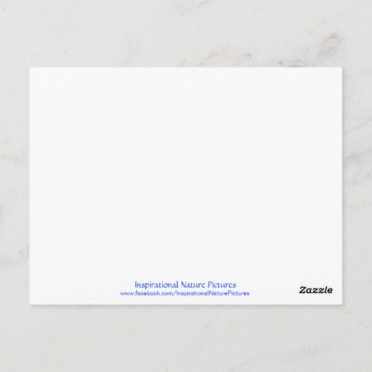 "Ik hou van mezelf!" Reeks #2 Briefkaart (Achterkant)