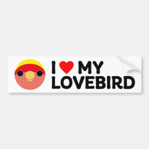 IK HOU VAN MIJN AGAPORNIS – Perzikkop (amerikaans  Bumpersticker