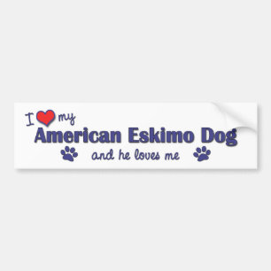 Ik hou van mijn Amerikaanse Eskimo Dog (Mannelijke Bumpersticker