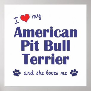 Ik hou van mijn Amerikaanse pit bull Terrier (Vrou Poster