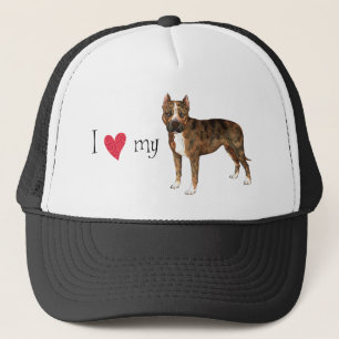 Ik hou van mijn Amerikaanse Staffordshire Terrier Trucker Pet