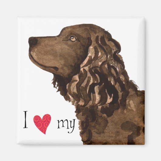 Ik hou van mijn Amerikaanse waterspaniel Magneet (Voorkant)