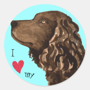 Ik hou van mijn Amerikaanse waterspaniel Ronde Sticker