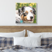 Ik hou van mijn Aussie Australian Shepherd White B Canvas Afdruk (Insitu (Slaapkamer))