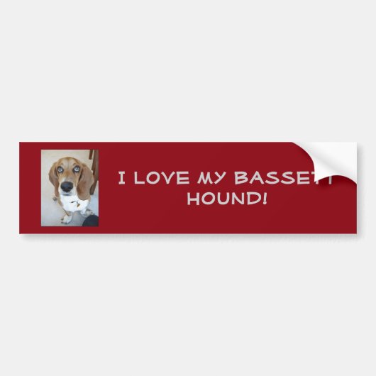 Ik hou van mijn Bassett Hound.  Bumpersticker (Voorkant)