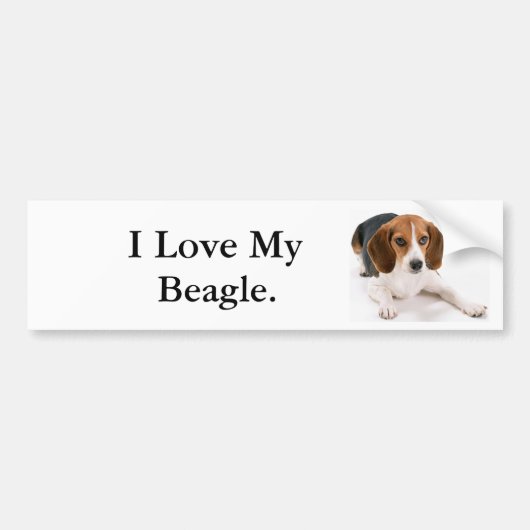 Ik hou van mijn beagle. bumpersticker (Voorkant)