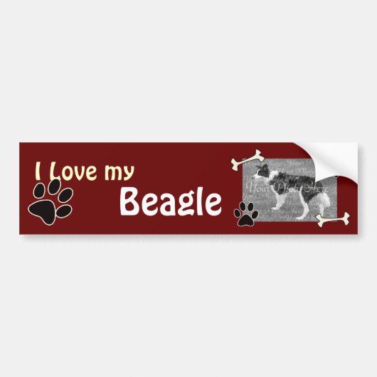 Ik hou van mijn Beagle Bumpersticker (Voorkant)