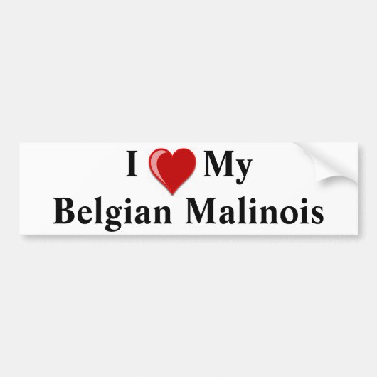 Ik hou van mijn Belgische Malinois Dog Bumpersticker (Voorkant)