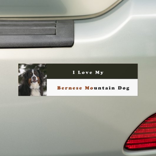 Ik hou van mijn Bernese Mountain Dog Bumpersticker (Op auto)