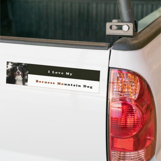 Ik hou van mijn Bernese Mountain Dog Bumpersticker (Op Truck)