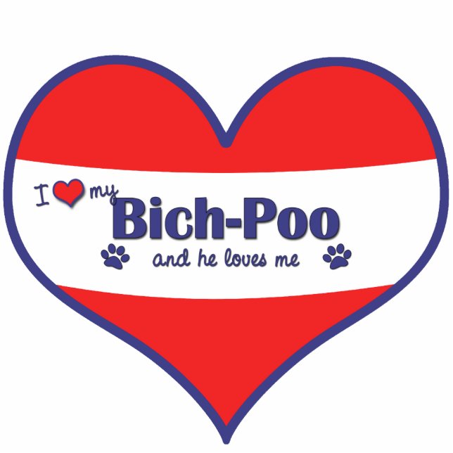 Ik hou van mijn Bich-Poo (Mannelijke hond) Fotobeeldje Ornament (Voorkant)