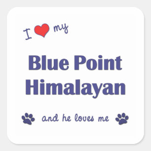 Ik hou van mijn blauwe punt Himalaya (mannelijke k Vierkante Sticker