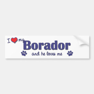Ik hou van mijn borador (Mannelijke hond) Bumpersticker
