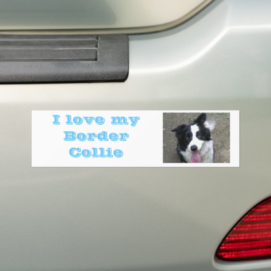 Ik hou van mijn Border Collie Bumber sticker (Op auto)