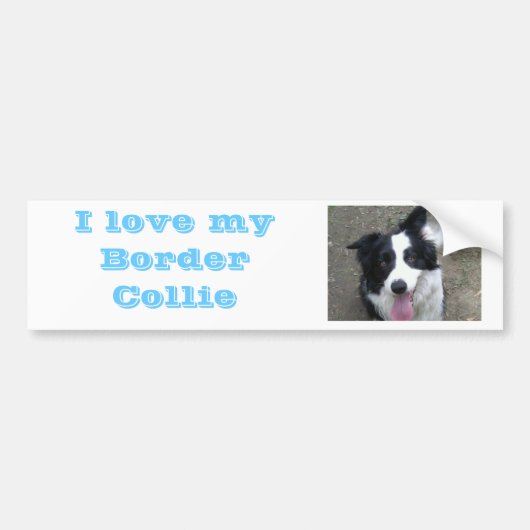 Ik hou van mijn Border Collie Bumber sticker (Voorkant)