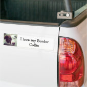 Ik hou van mijn Border Collie Bumpersticker (Op Truck)
