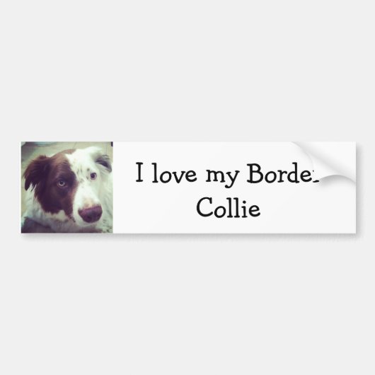 Ik hou van mijn Border Collie Bumpersticker (Voorkant)