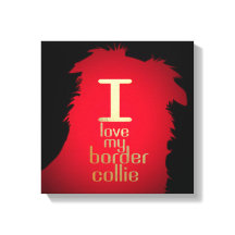 IK HOU VAN MIJN BORDER COLLIE