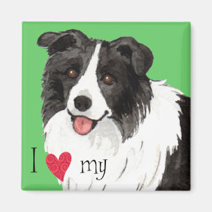 Ik hou van mijn Border Collie Magneet