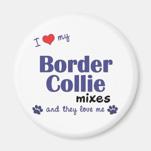 Ik hou van mijn Border Collie Mixes (meerdere hond Magneet